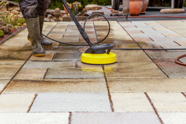 Best Solar Panel Cleaning  in Rainbow, CA